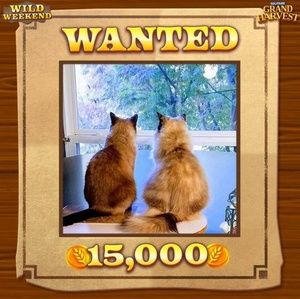 Meet your Posher, Paula